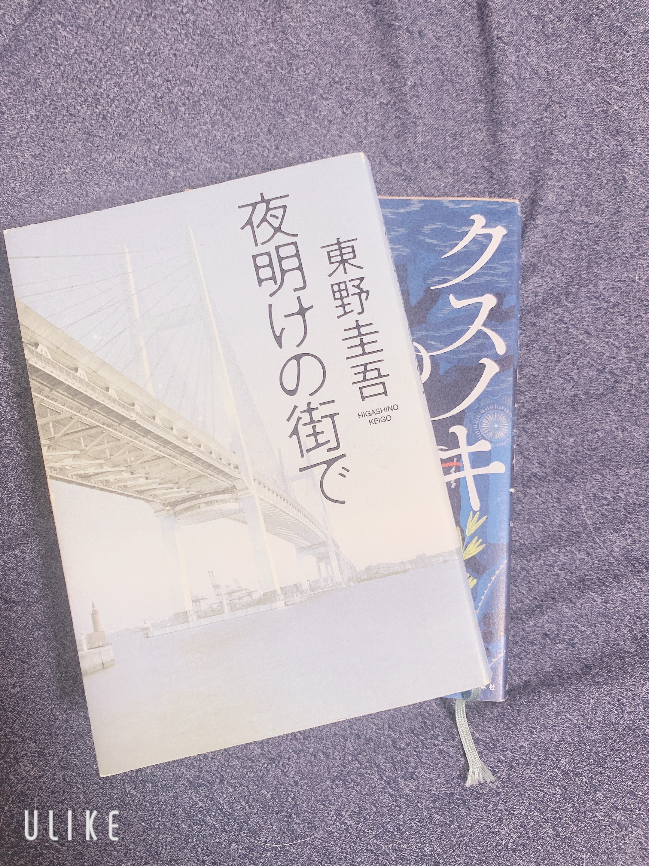 堂前れいこ