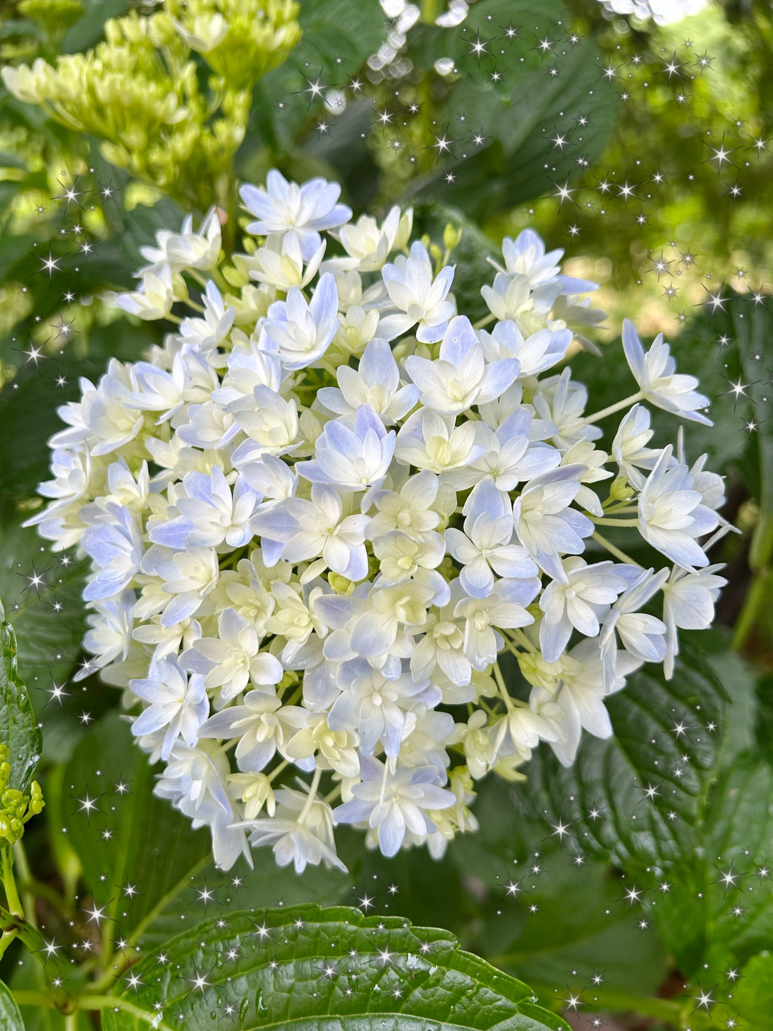 新宮しおり