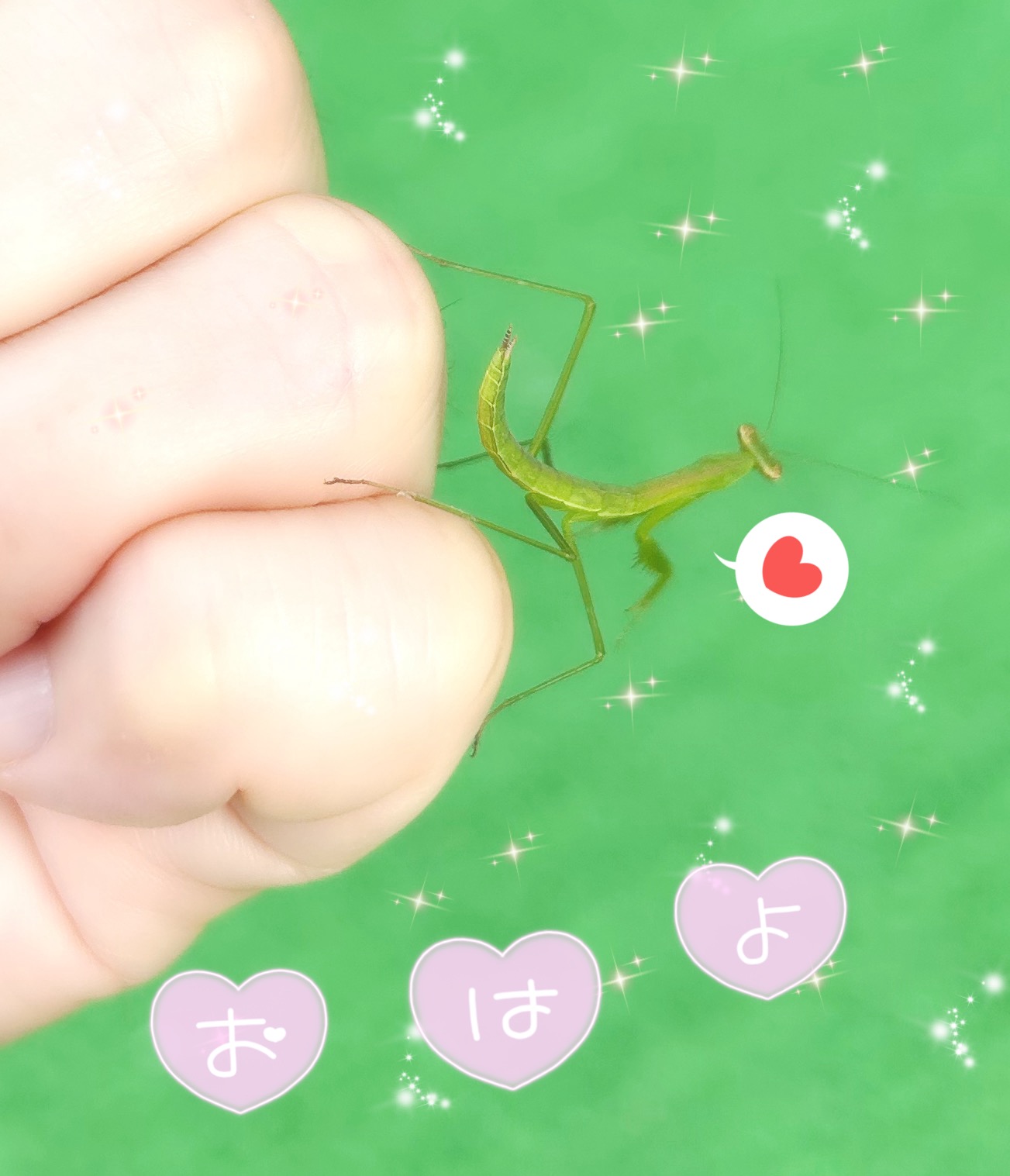 新宮しおり