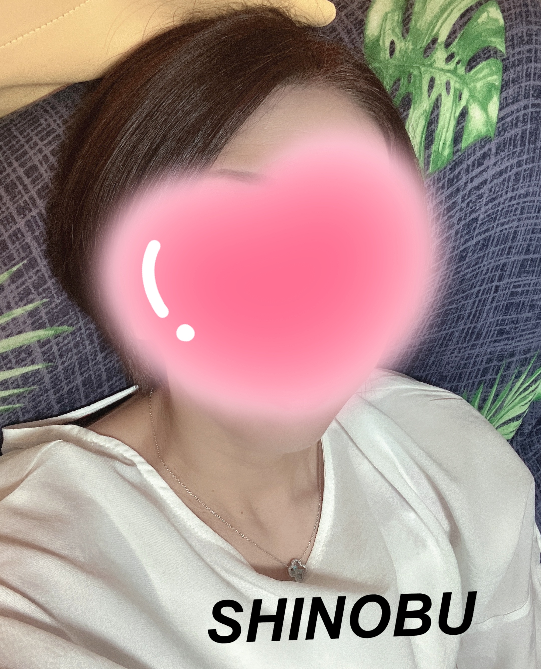 九条しのぶ
