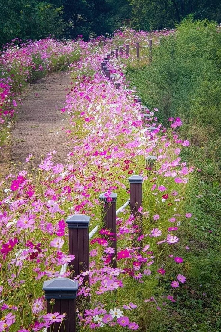 紺野さなえ-NEW-