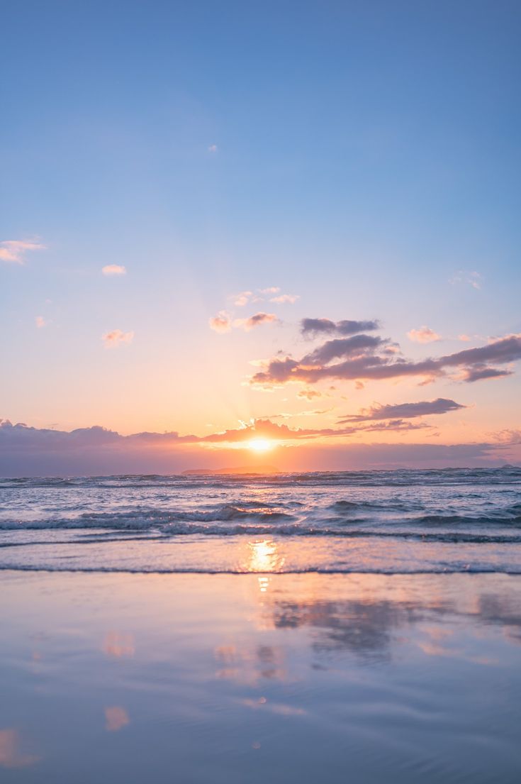 紺野さなえ-NEW-