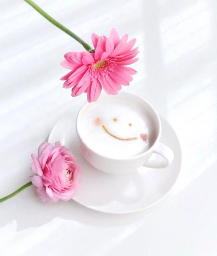 紺野さなえ-NEW-