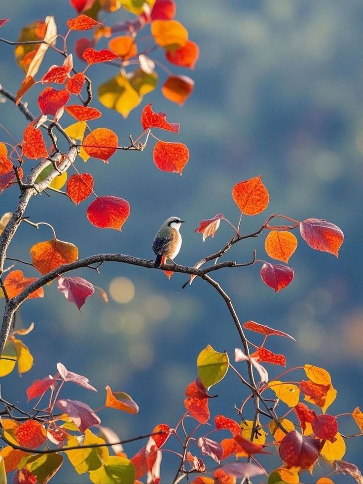 紺野さなえ-NEW-