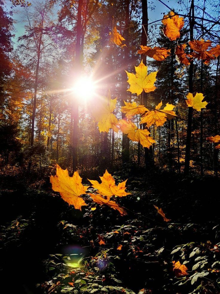 紺野さなえ-NEW-